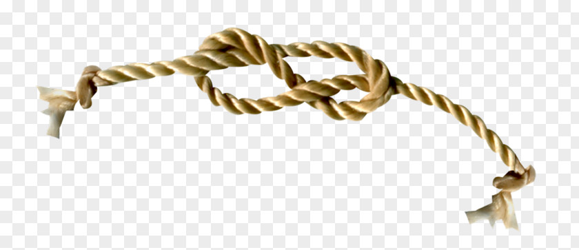 Rope Information Knot Photography PNG