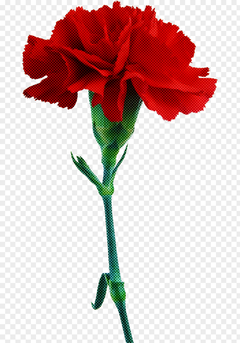 Rose PNG