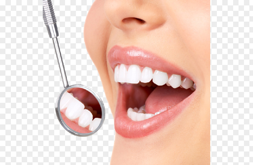 Dentist Smile Transparent Background Dentistry Tooth Whitening Human Crown PNG