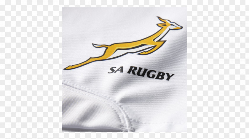 Design Logo Brand South Africa National Rugby Union Team PNG