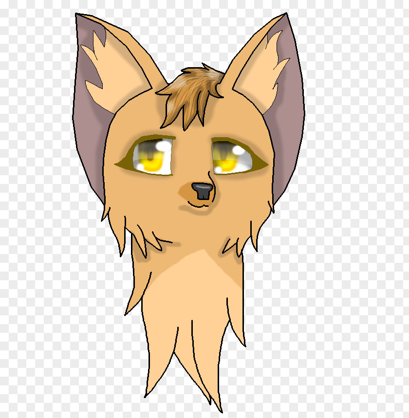 Kitten Whiskers Cat Fairy Dog PNG