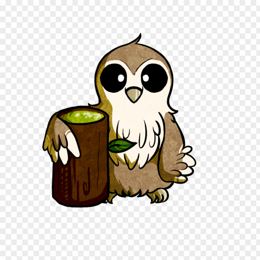 Little Owl Beak Cartoon PNG