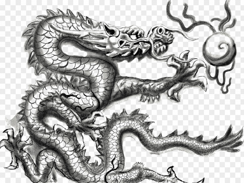 Sketch Dragon Pattern Drawing Clip Art PNG