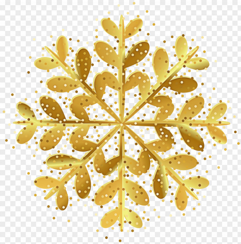 Snowflake PNG