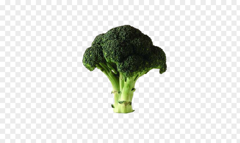 Broccoli Chinese Cauliflower Vegetable Potato PNG