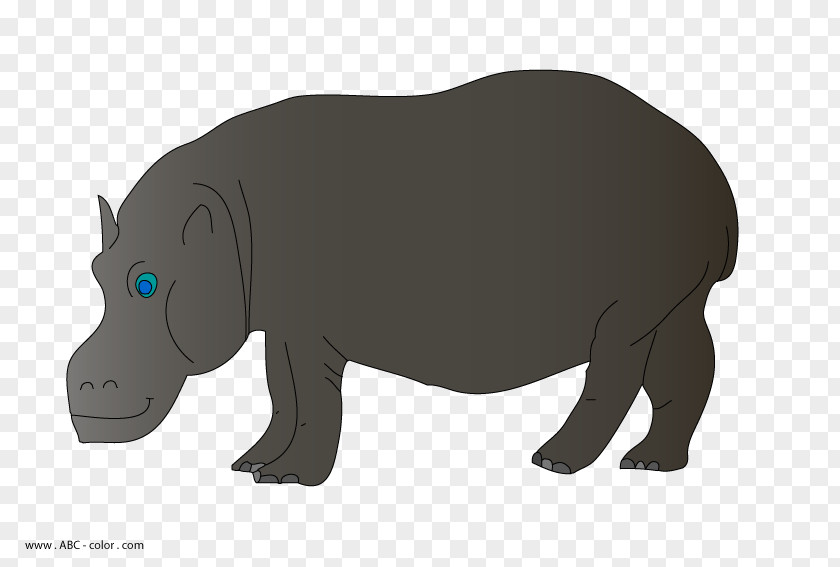 Carnivora Rhinoceros Cattle Mammal Terrestrial Animal PNG