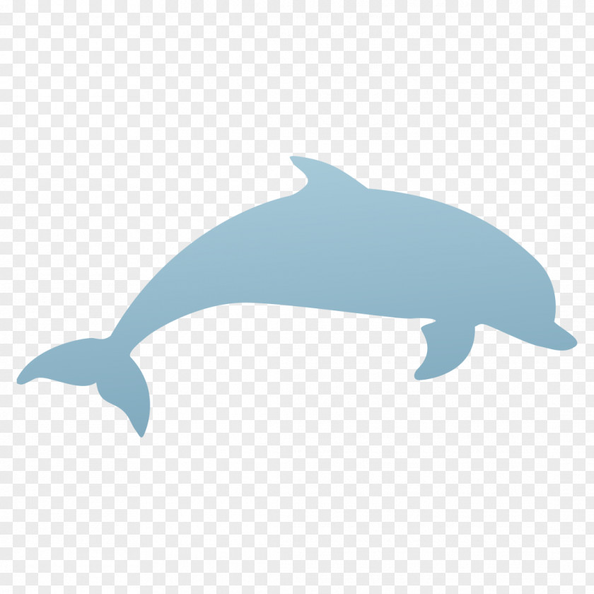 Dolphin Silhouette Common Bottlenose Clip Art Vector Graphics Image PNG