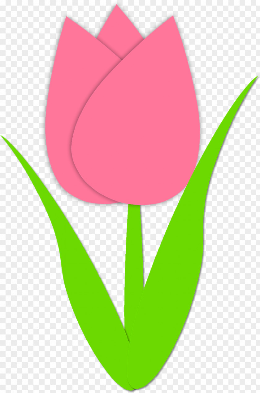 Tulip Cliparts Outline Free Content Download Clip Art PNG