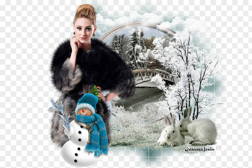 Winter Snow Landscape Desktop Wallpaper PNG