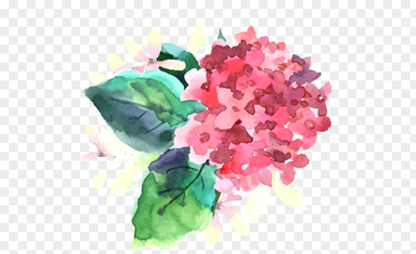 Bougainvillea Watercolor Painting Flower Royalty-free PNG