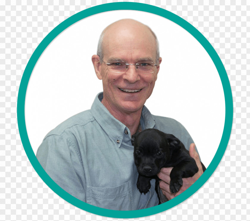 Dr Bob Bennett & Tom Gradwell Italian GreyhoundWynnum Veterinarian Dog Breed Wynnum Manly Veterinary Hospital PNG