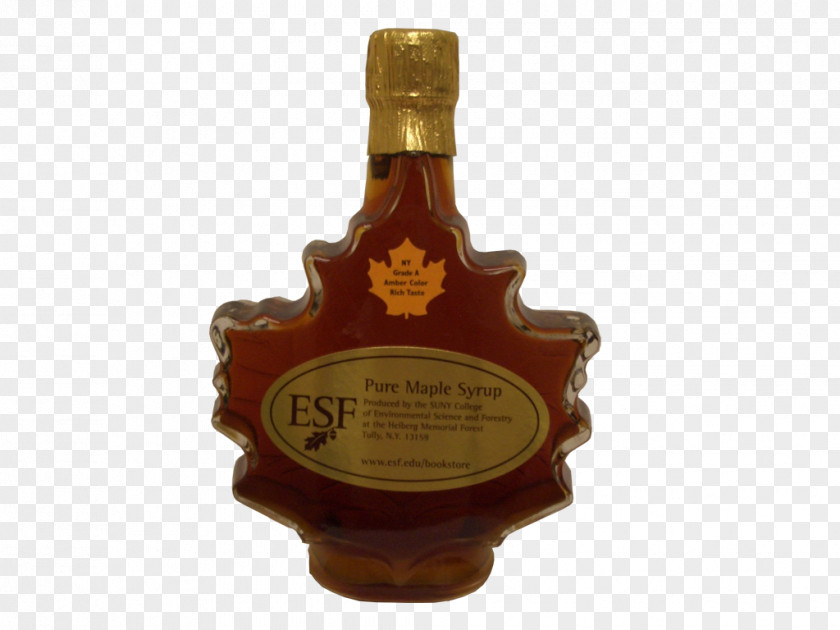 Maple Leaf Syrup Liqueur SUNY College Of Environmental Science And Forestry PNG
