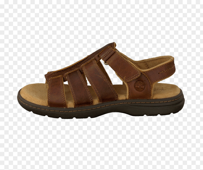 Sandal Slide Shoe Walking PNG