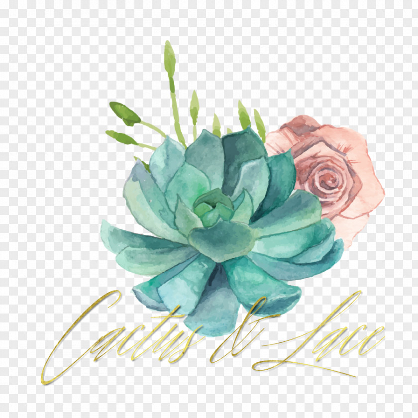 Watercolor Cactus Succulent Plant Painting PNG