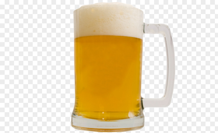 Beer Stein Glasses Lager Mug PNG