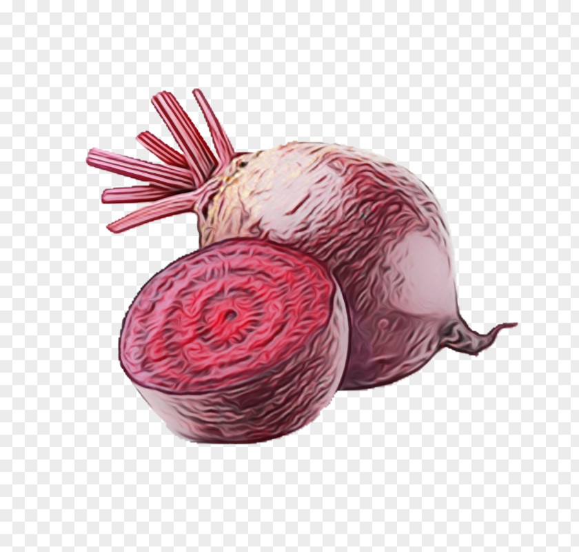 Beet Onion Beetroot Vegetable Pink Food Thread PNG