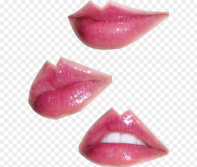Bijouterie Lip Gloss Lipstick Magenta PNG