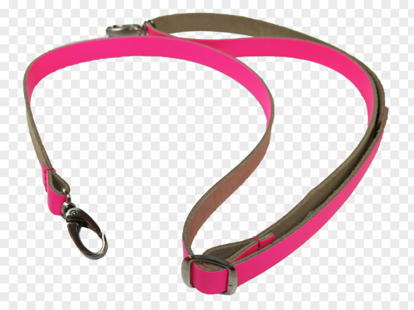 Dog Leash Collar Strap PNG