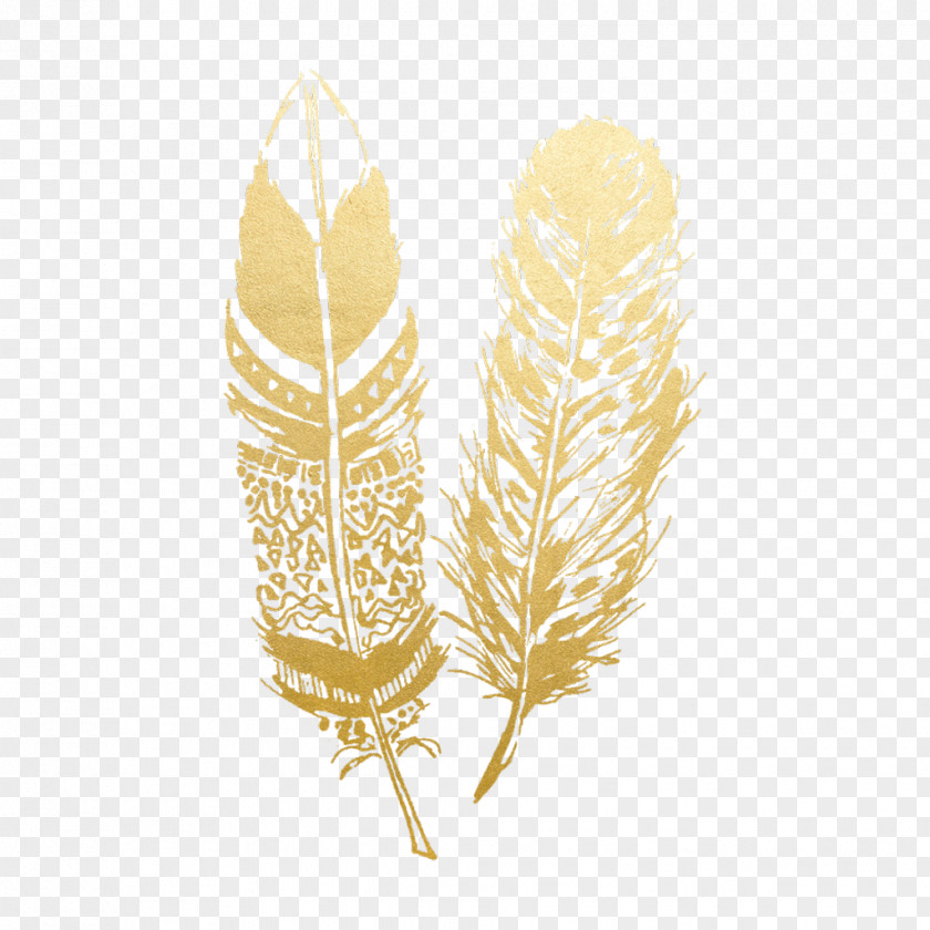 Feather T-shirt Gold Image Clip Art PNG