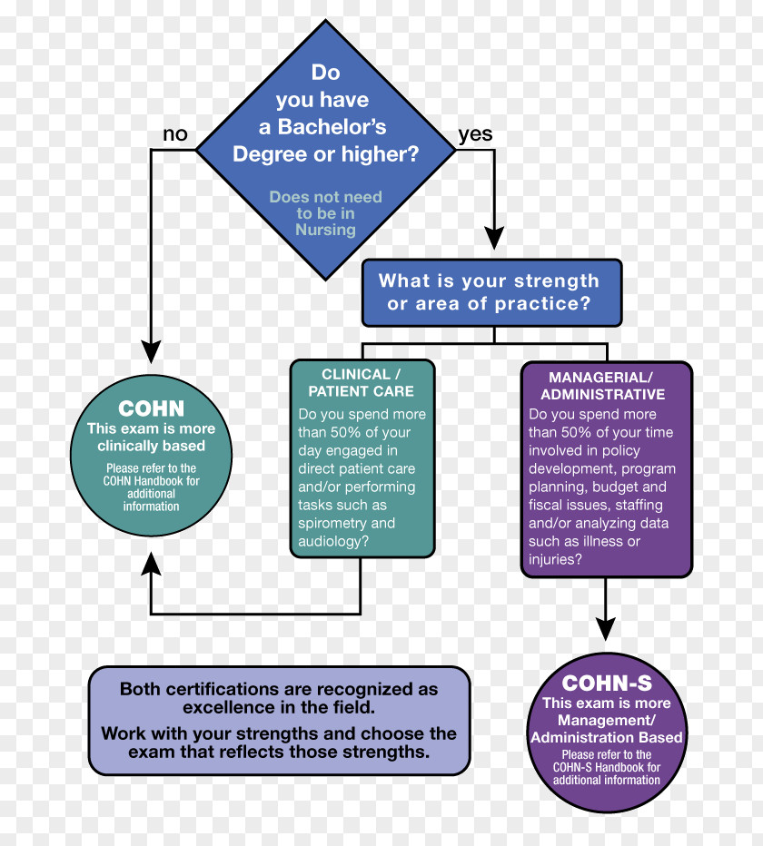 Line Brand Organization Diagram PNG