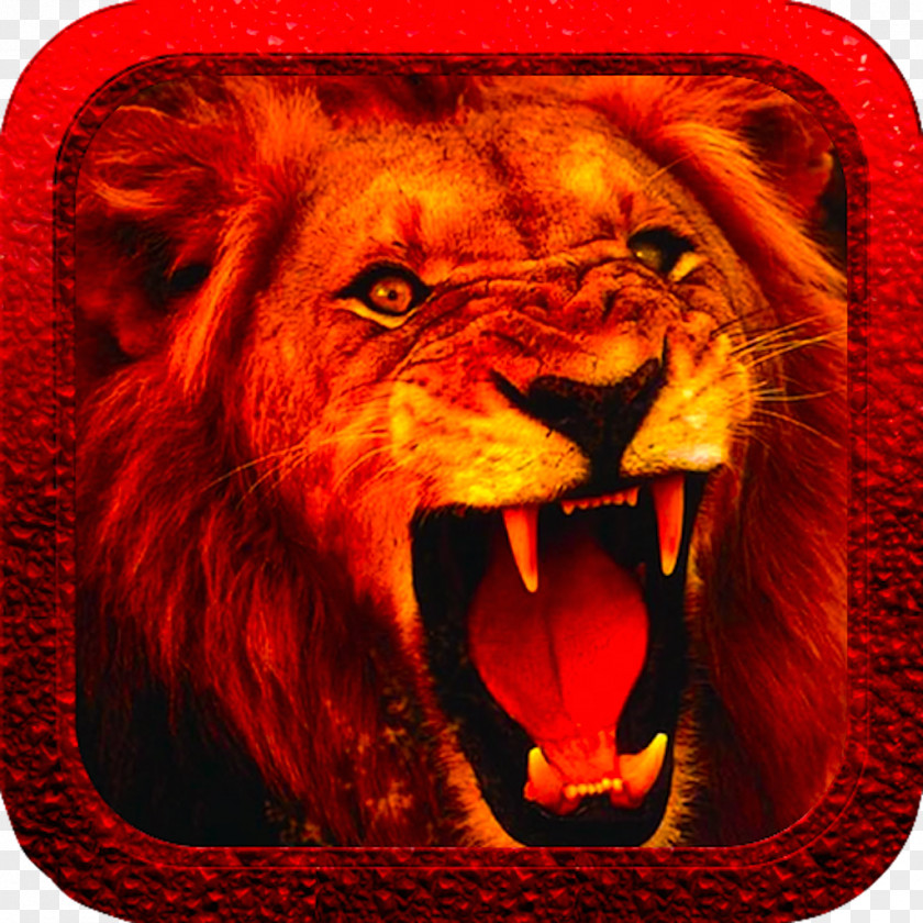 Bhagat Singh White Lion Desktop Wallpaper Anger Roar PNG