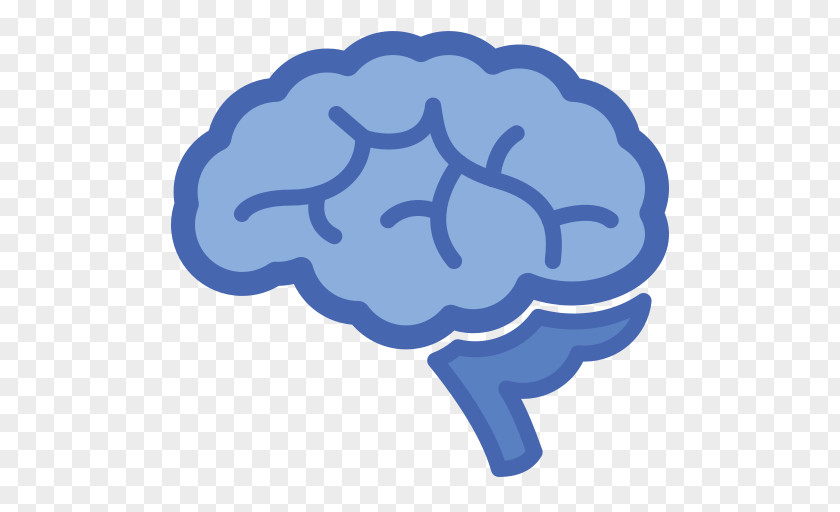 Brain Clip Art PNG