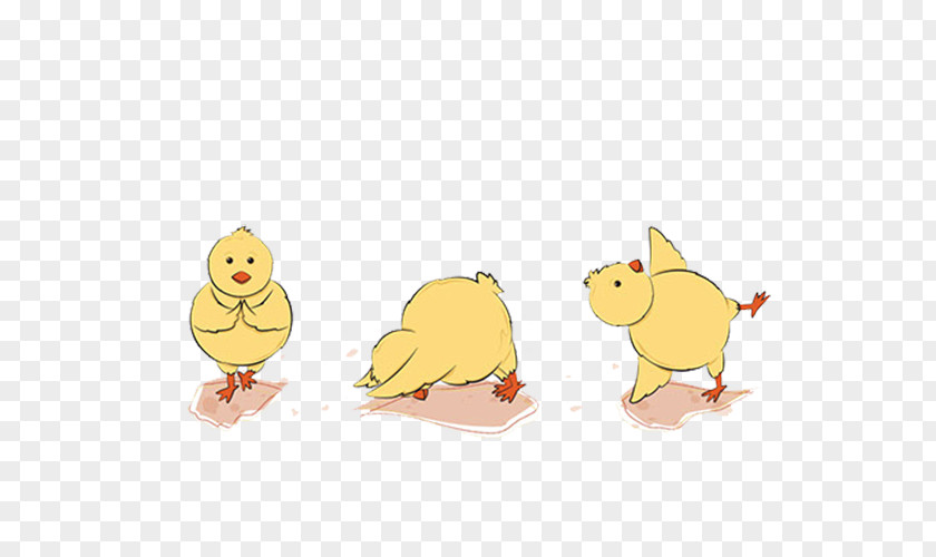 Easter Chickens Little Yellow Chicken Yoga Illustration PNG