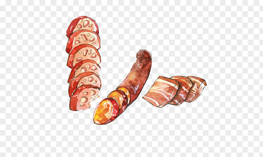 Meat Sausage Hand Painting Material Picture Sobrassada Mortadella Bacon Ham Cervelat PNG