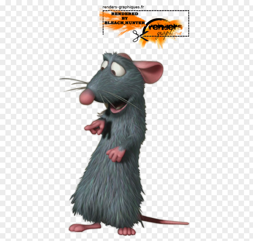 Rat & Mouse Remy Rodent Murids PNG