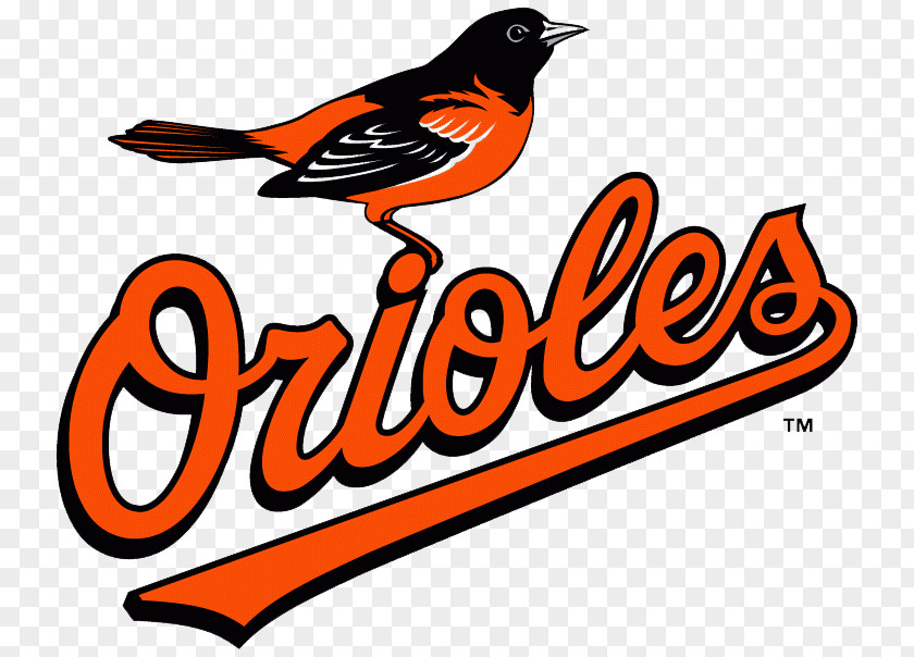 Rumors Baltimore Orioles Oriole Park At Camden Yards American League East MLB St. Louis Cardinals PNG