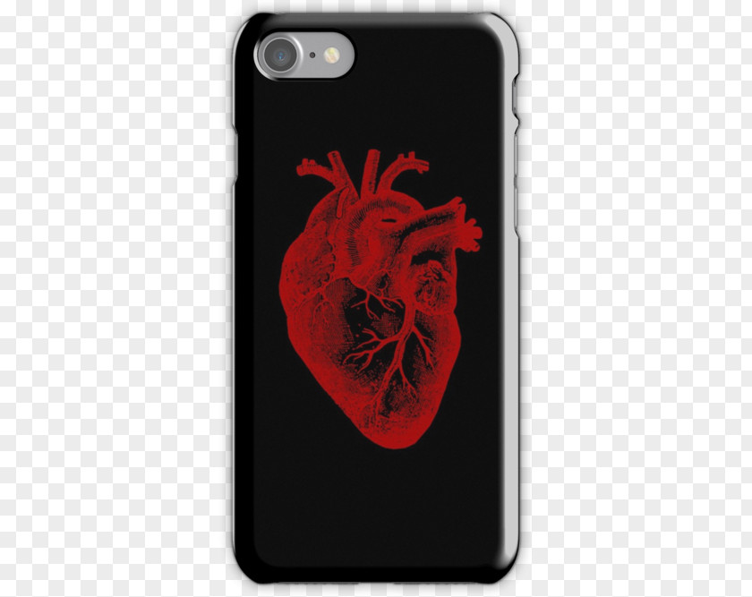 Anatomy Heart Apple IPhone 7 Plus 8 X Samsung Galaxy S8 6s PNG