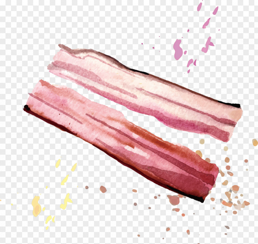 Bacon U5e78u798fBreakfast Fried Egg PNG