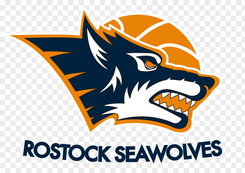 Basketball Rostock Seawolves ProA Paderborn Baskets ProB PNG