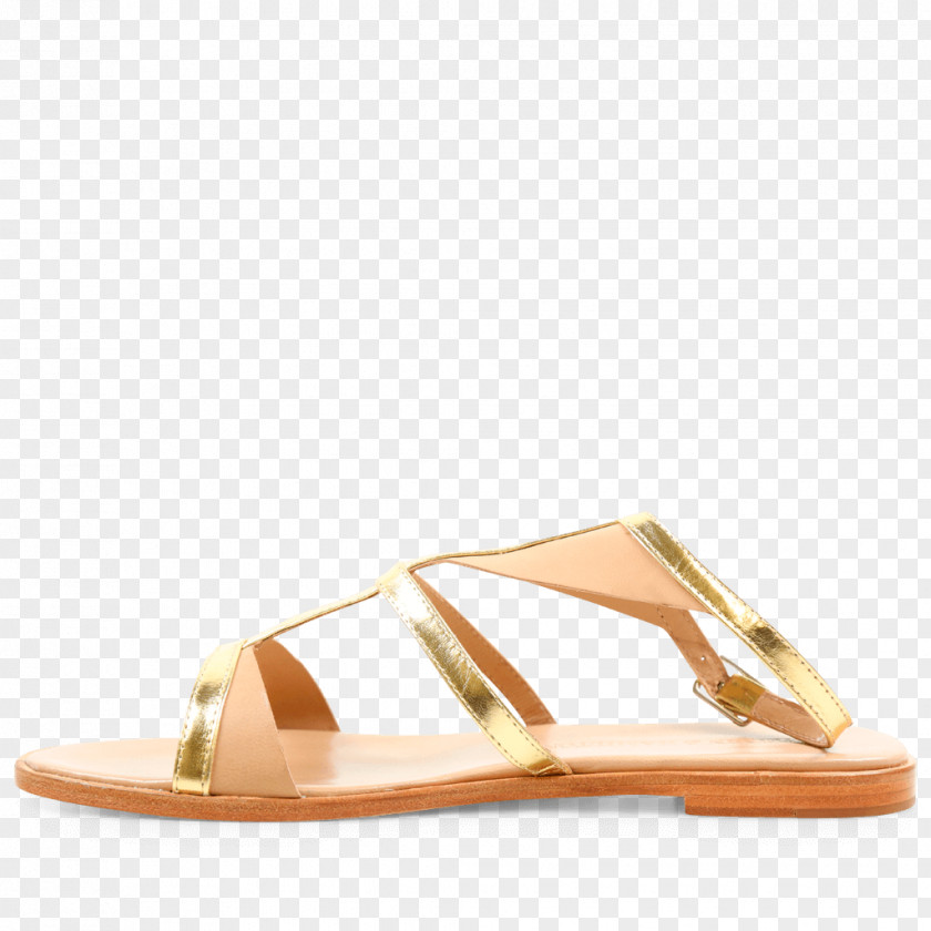Beige Color Sandal Footwear Shoe Slide PNG