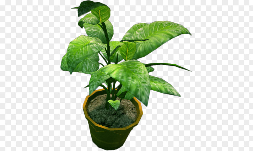 Chinese Medicinal Materials Houseplant Flowerpot Tree PNG