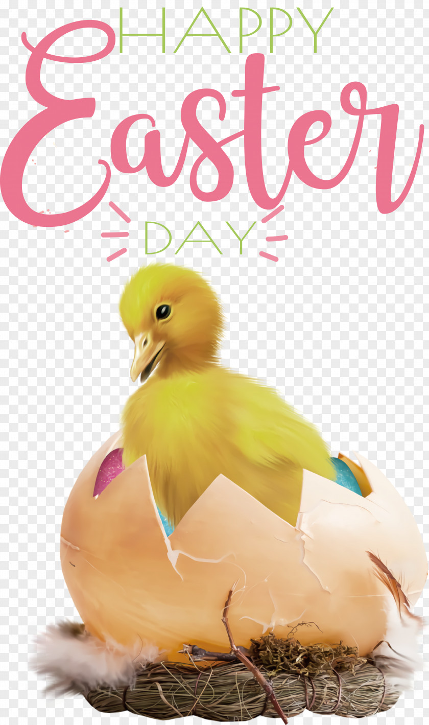 Easter Egg PNG