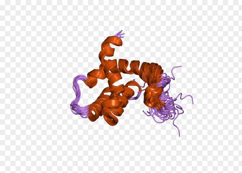 Fusion Protein Organism Font PNG