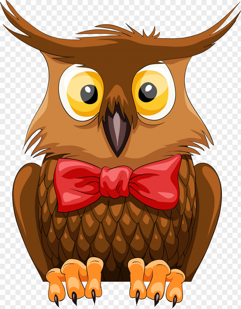Owls Owl Cartoon Stock Photography PNG