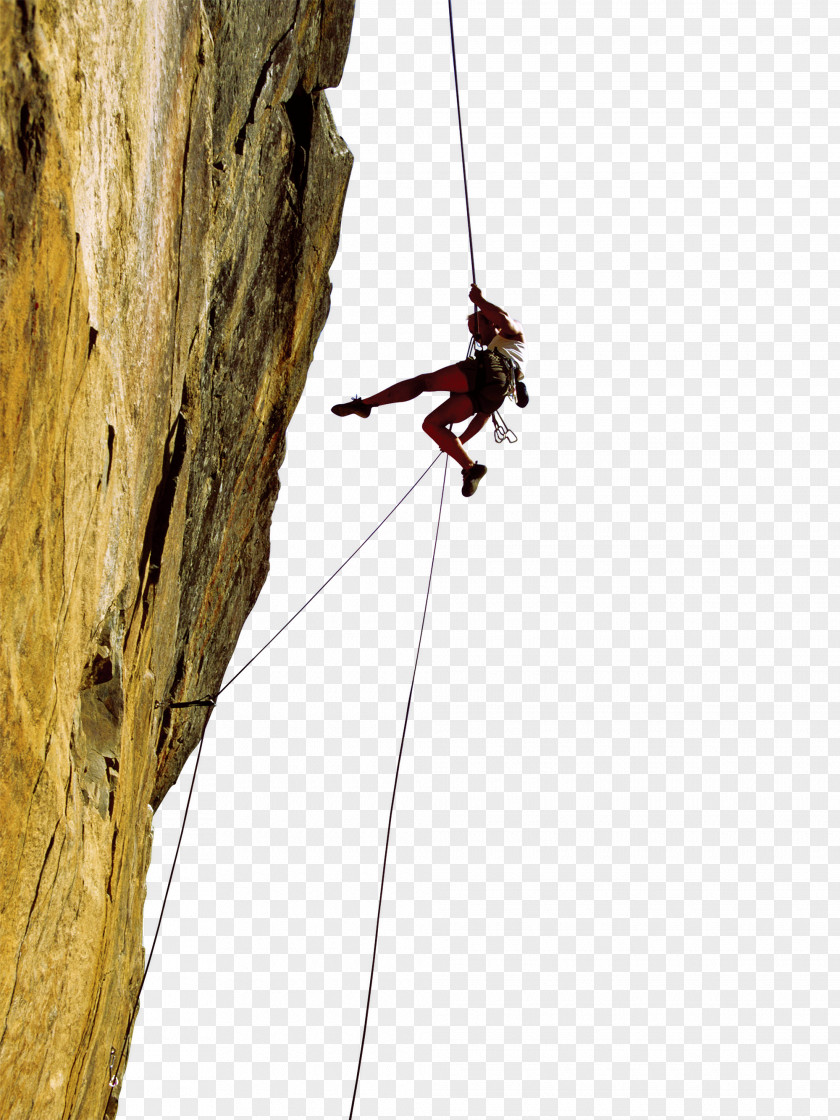 Rock Climbing Exercise Physiology For Health Fitness And Performance Business Organizational Culture Service PNG