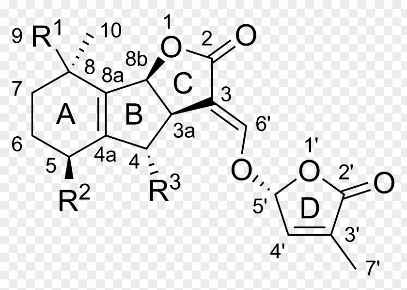 Structural Drawing Strigolactone Plant Hormone Parasitic Auxin PNG