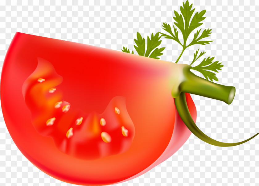 Tomato Chili Pepper Vegetable Capsicum Bell PNG