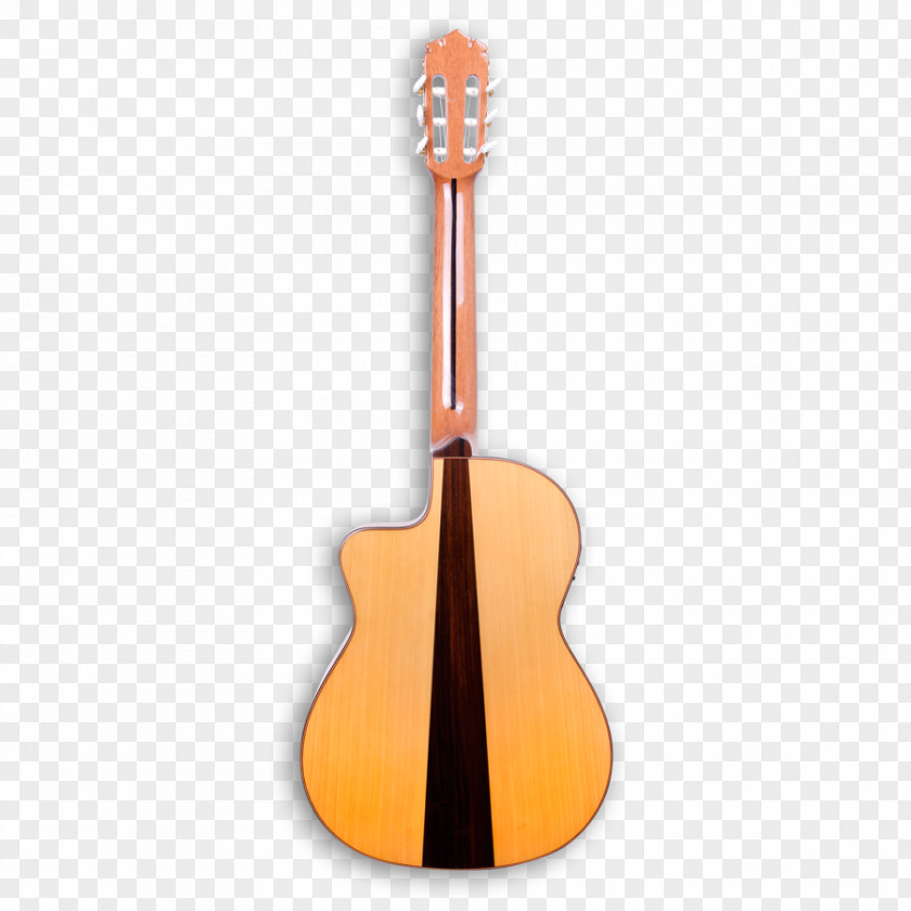Acoustic Guitar Bass Acoustic-electric Cavaquinho PNG