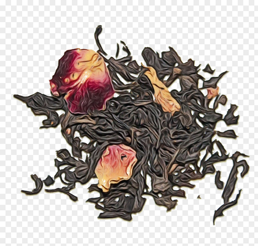 Keemun Earl Grey Tea Watercolor Plant PNG