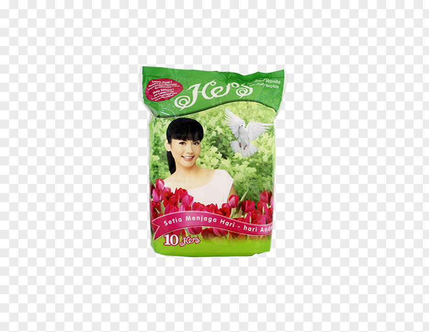 Sanitary Napkin Green PNG