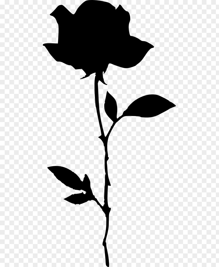 Silhouette Drawing Rose PNG
