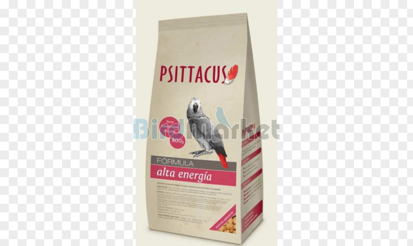 African Grey Parrot Parrots Bird Organic Food PNG