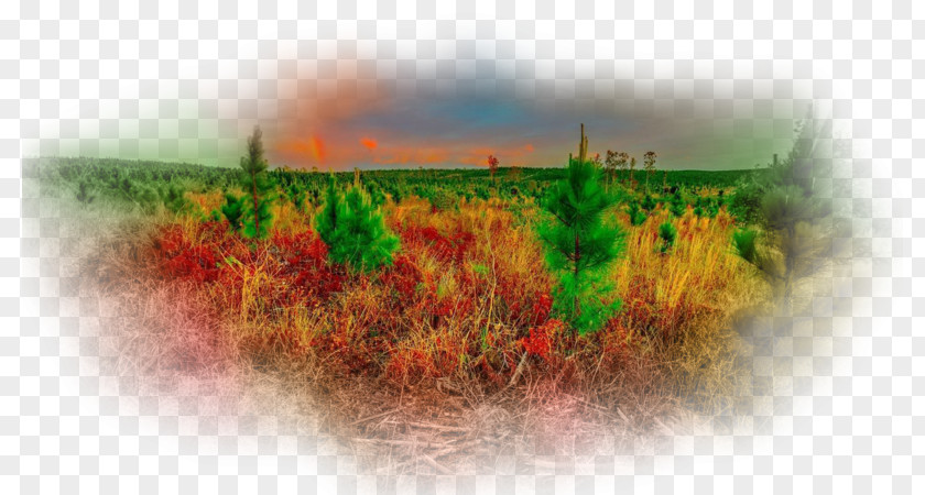 Autumn Scenery Desktop Wallpaper Computer Sky Plc PNG