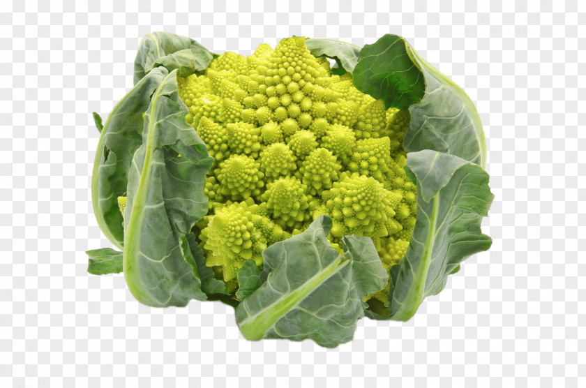 Broccoli Romanesco Cauliflower Broccoflower Cabbage PNG