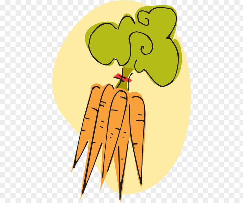 Carrot Vegetable Clip Art PNG