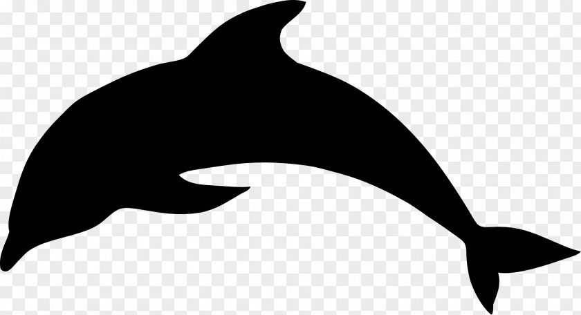 Dolphin Silhouette Clip Art PNG